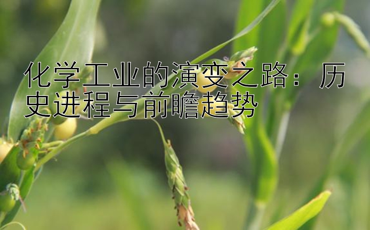 化学工业的演变之路：历史进程与前瞻趋势